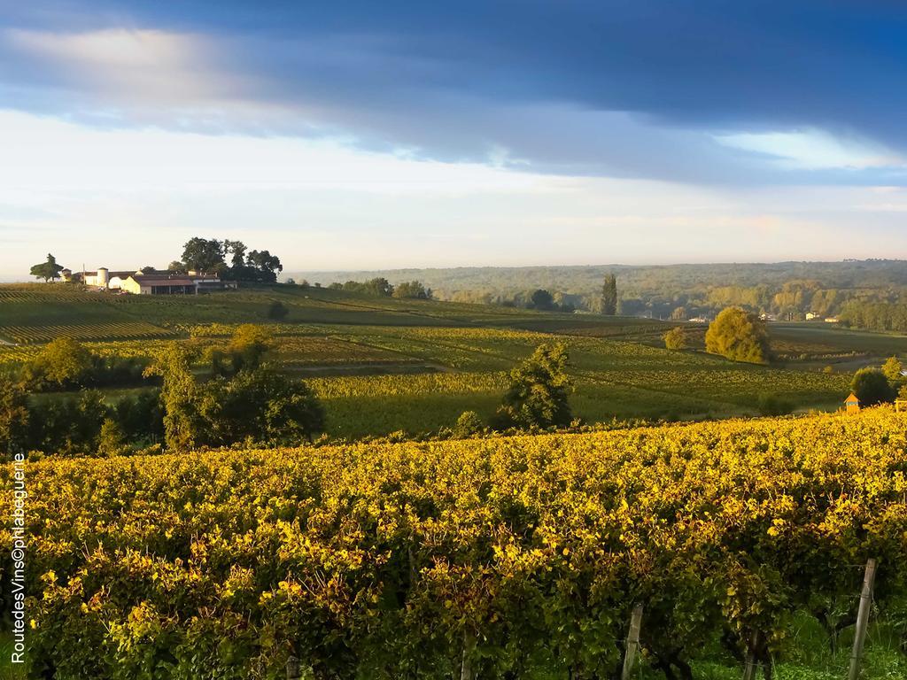 La Sauternaise, Luxury Boutique B&B Sauternes Εξωτερικό φωτογραφία
